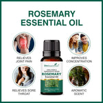 Thumbnail for She Essentials Argan Carrier Oil, Rosemary & Tea Tree Essential Oil - Skincare & Hair Care