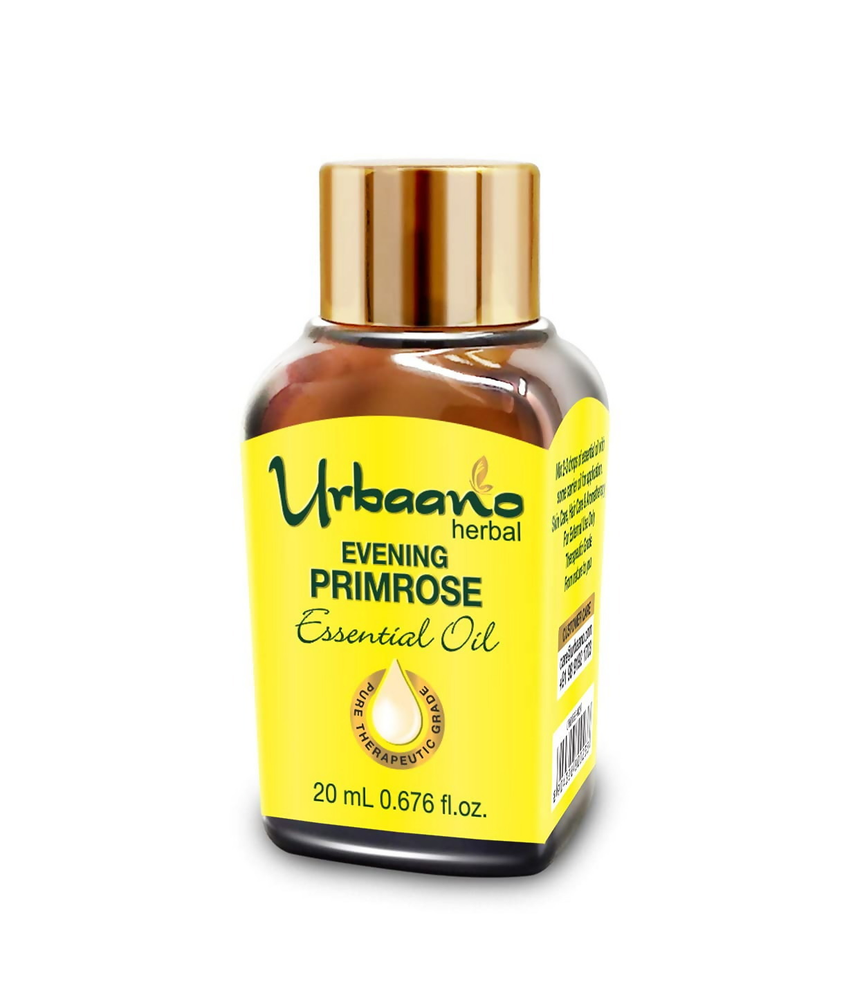 download - 2025-05-07T115946.019