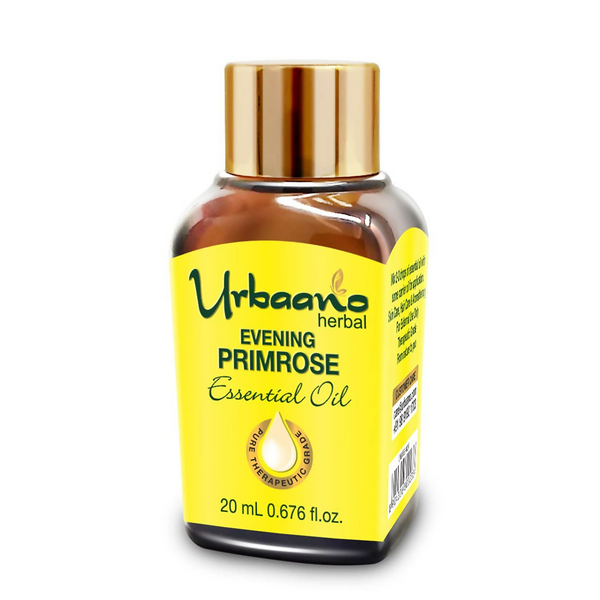 download - 2025-05-07T115946.019