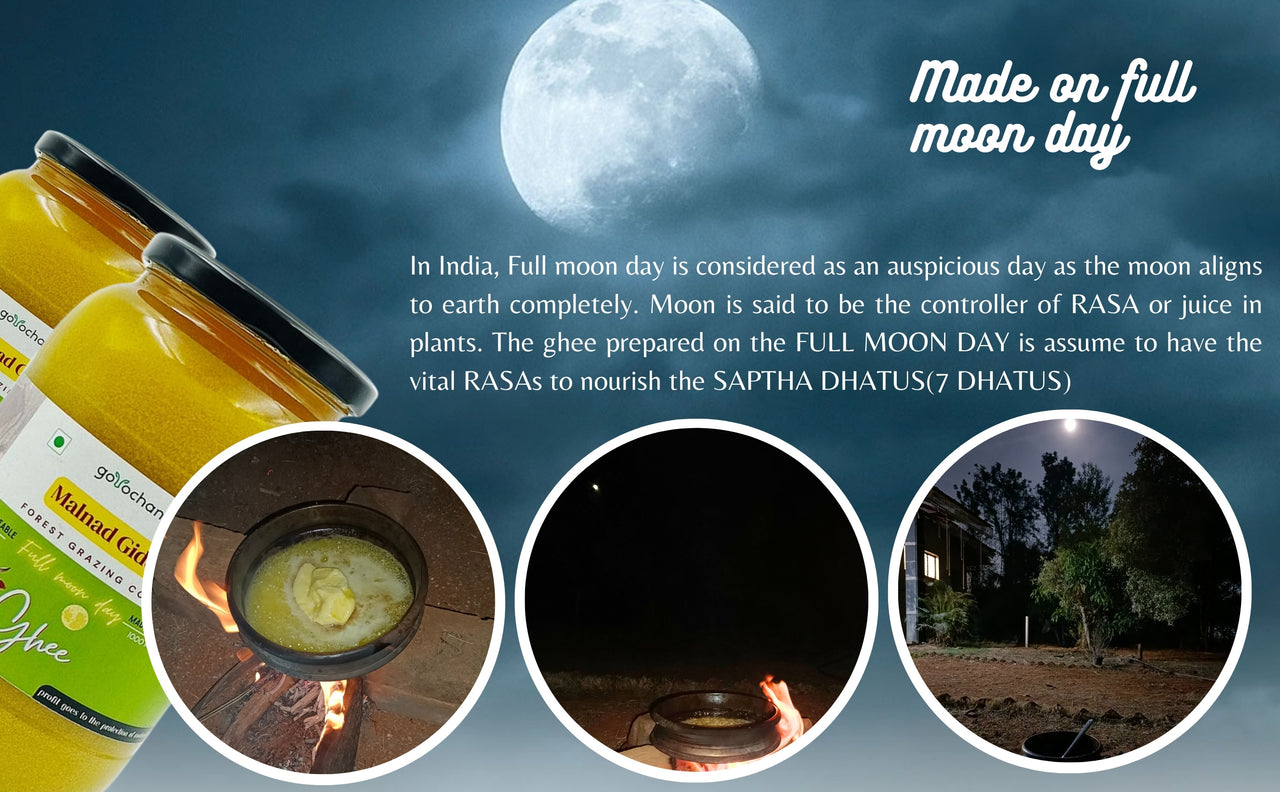 Gorochana 100% Source Traceable Desi Malnad Gidda A2 Full Moon Day Bilona Cow Ghee - Distacart