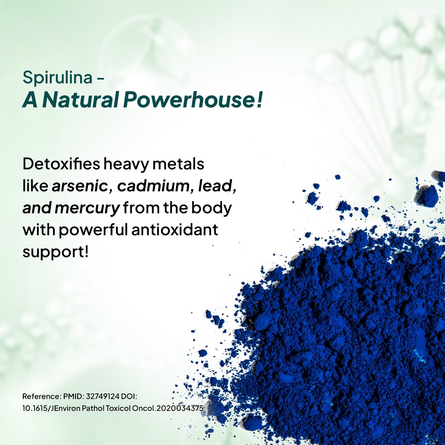 Miduty by Palak Notes Blue Spirulina Tablets