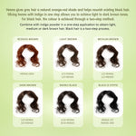Thumbnail for Velleja Herbal Henna Powder for Natural Hair Colour | Enriched with Amla, Bhringraj & Shikakai - Dista