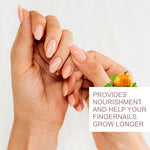 Thumbnail for Nuerma Science Pumpkin Essential Oil