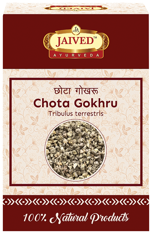 Jaived Ayurveda Chota Gokhru | Supports Healthy Digestion, Reduces Bloating & Improves