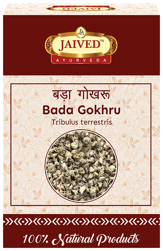 Jaived Ayurveda Bada Gokhru | Boosts Stamina, Enhances Muscle Strength, & Physical