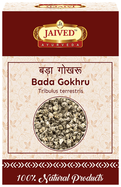 Jaived Ayurveda Bada Gokhru | Boosts Stamina, Enhances Muscle Strength, & Physical