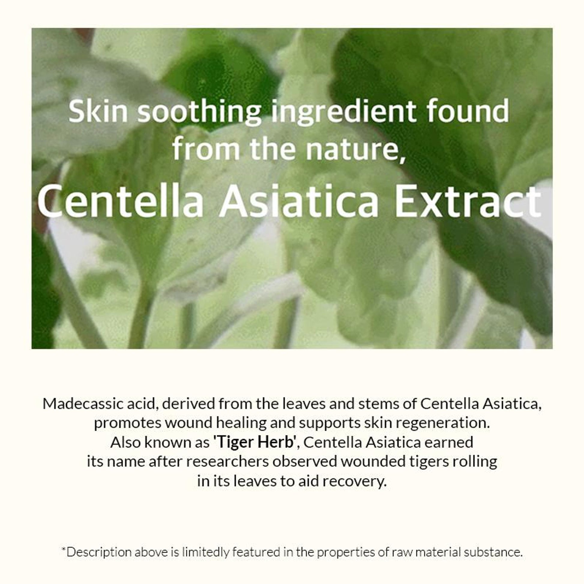 Mixsoon Soondy Centella Asiatica Essence, Calms Redness, Hydrates & Repairs Skin Barrier - Distacart
