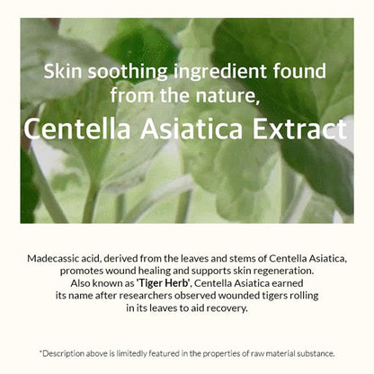 Mixsoon Soondy Centella Asiatica Essence, Calms Redness, Hydrates & Repairs Skin Barrier - Distacart
