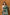Very Much Indian Handblock Printed Cotton Saree With Natural Dyes - Leaf Green - Distacart