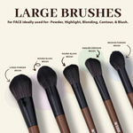 Thumbnail for Bronson Professional Premium Makeup Brush Set For Face & Eye - Dista