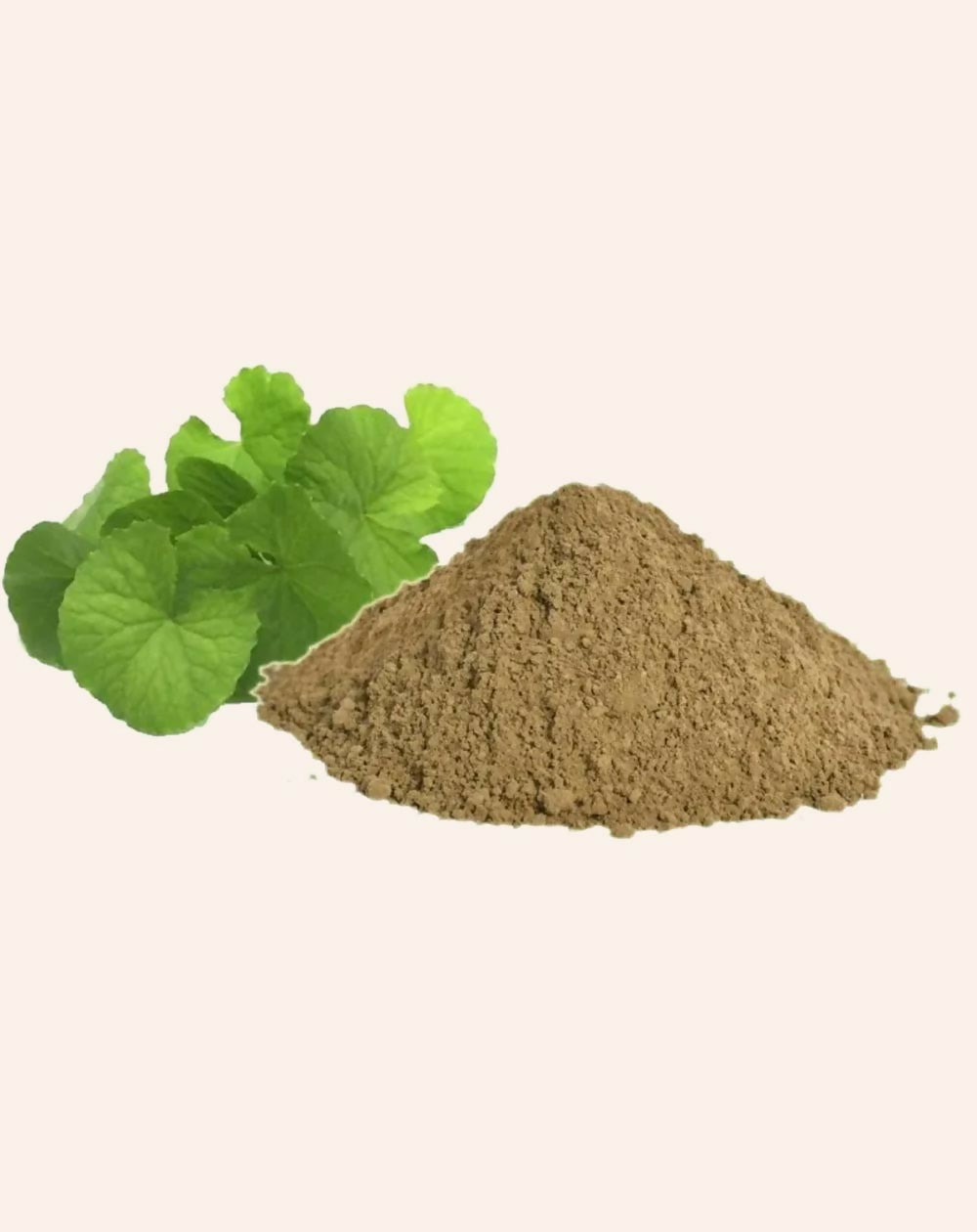 Simandhar Brahmi Powder - Distacart