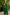 Green Jute Silk Woven Design Saree with Unstitched Blouse - A2M