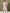 Vishudh Pink Floral Printed Keyhole Neck Straight Kurta