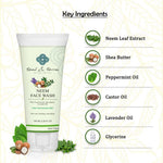 Thumbnail for Teal and Terra Neem Face Wash