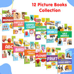 Thumbnail for My First Picture Book Collection For Early Learning : Books For Children, Learning Picture Library For Kids, Toddler book, Early learning book With 12 Topics