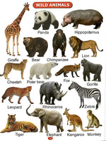 Thumbnail for All In One Picture Book (For Ages 1-4) - Dista
