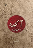Aainda - Saleem Mohiuddin - Dista