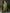 Anouk Green Ethnic Motifs Woven Design Zari Pure Georgette Kanjeevaram Saree - Distacart