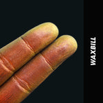 Thumbnail for Shopaarel Photoready Eye Glitter (New Edition) - Waxbill - Distacart