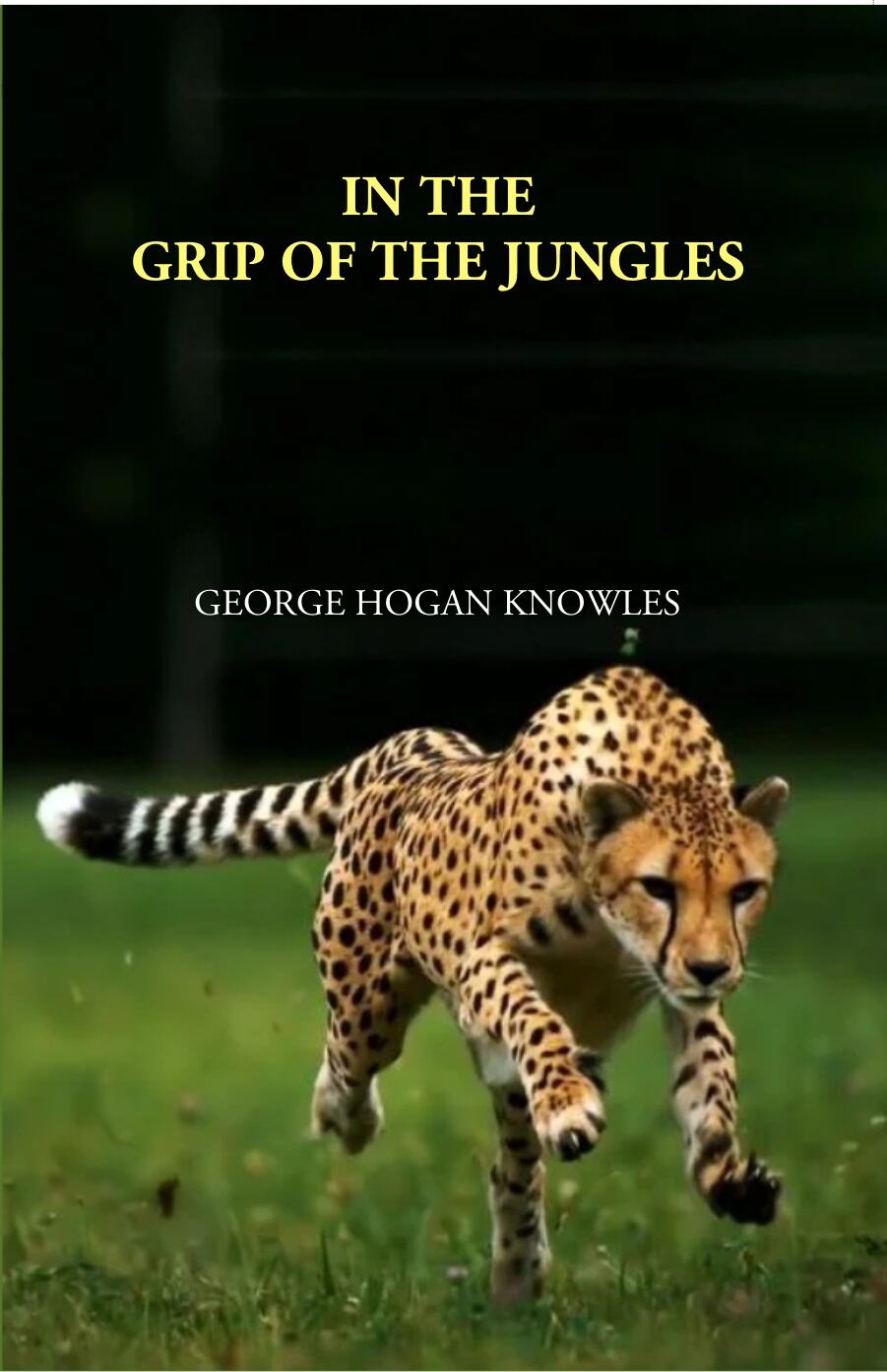 In The Grip Of The Jungles - Gyan Books - Distacart