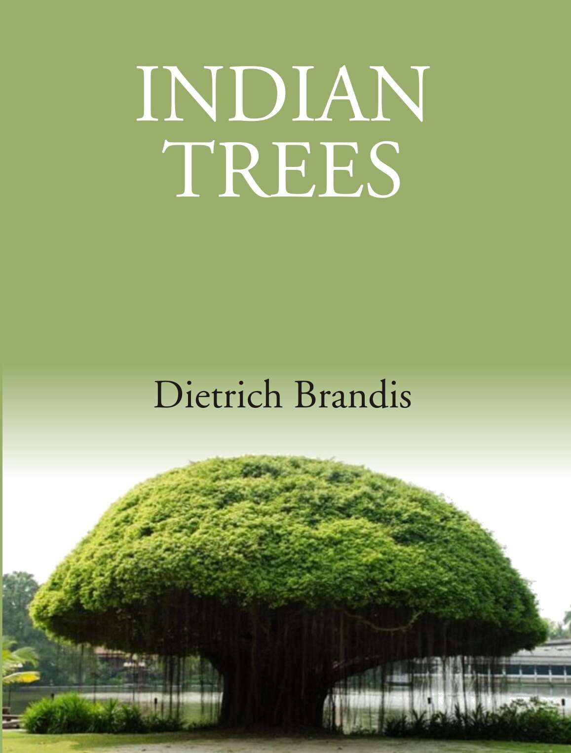 Indian Trees: An Account Of Trees, Shrubs, Woody Climbers, Bamboos And Palms Indigenous Or Commonly - Gyan Books - Distacart