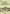 FURTHER EXCAVATIONS AT MOHENJO-DARO Vol. 2nd - Gyan Books