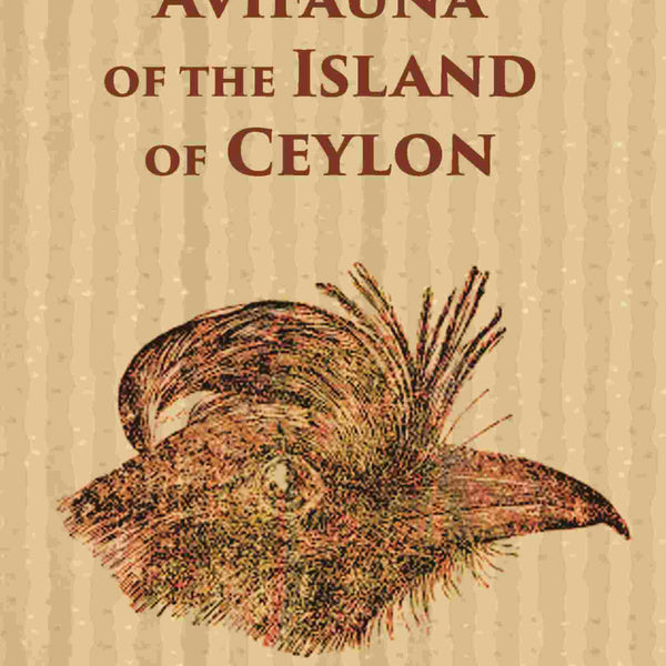 The Avifauna Of The Island Of Ceylon - Gyan Books - Distacart