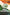 Indian Nationalism Its Origin, History, and Ideals - Gyan Books