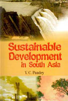 Thumbnail for Sustainable Development in South Asia - Gyan Books - Distacart