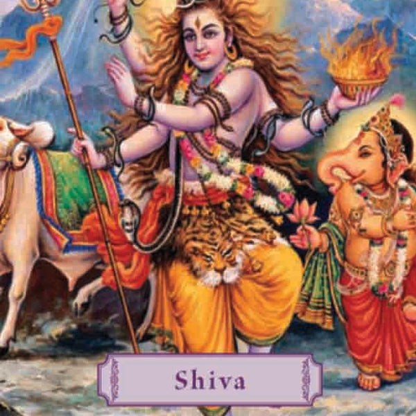 Shiva : Lord of Dance by James H. Bae - Om Books - Distacart