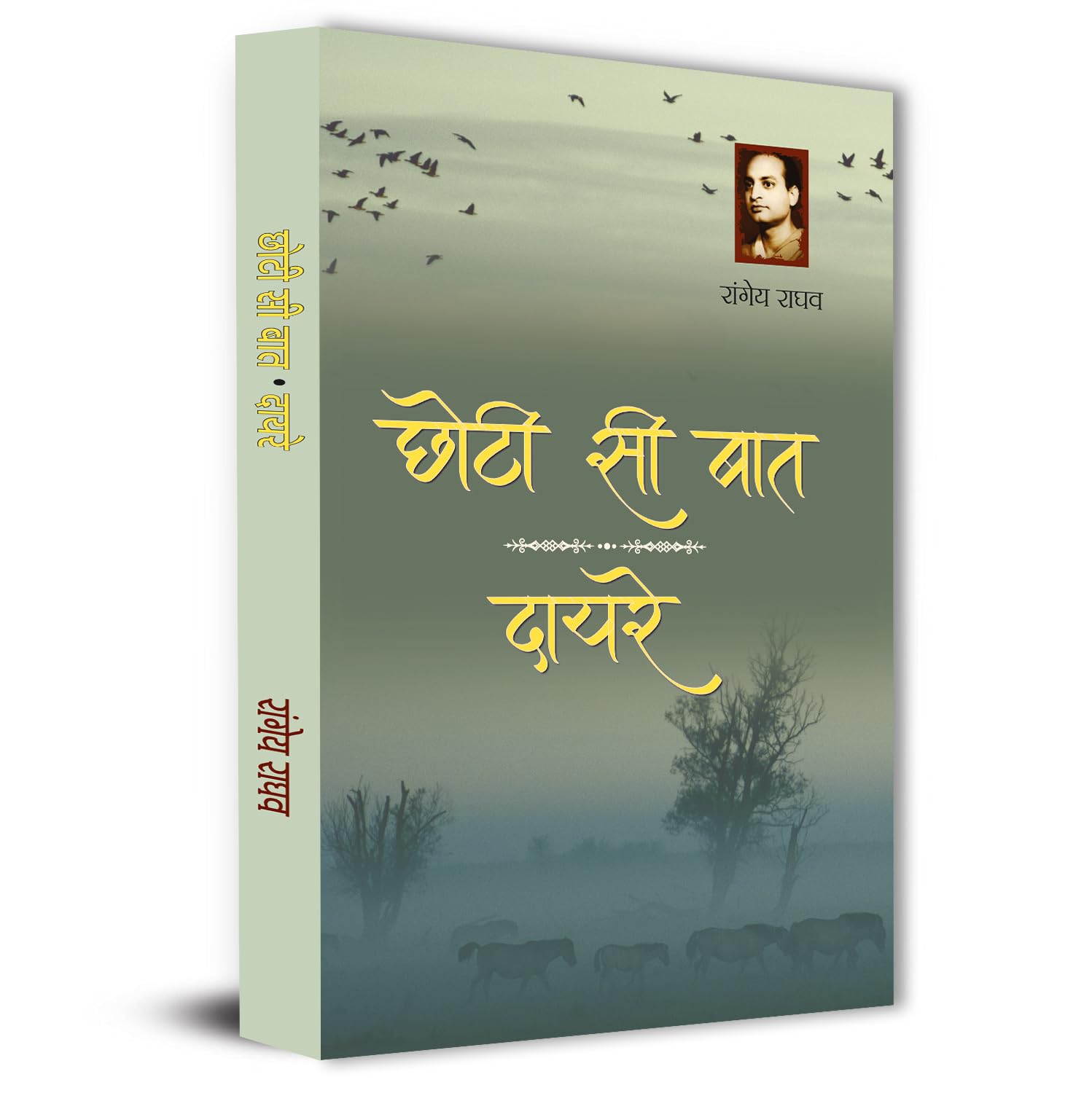 Chhoti Si Baat | Dayre By Rangeya Ragahv | A Thought-Provoking Hindi Novel On Human Emotions, Society And Personal Struggles | Philosophical And Social Literature Book In Hindi-Rangeya Raghav - Dista