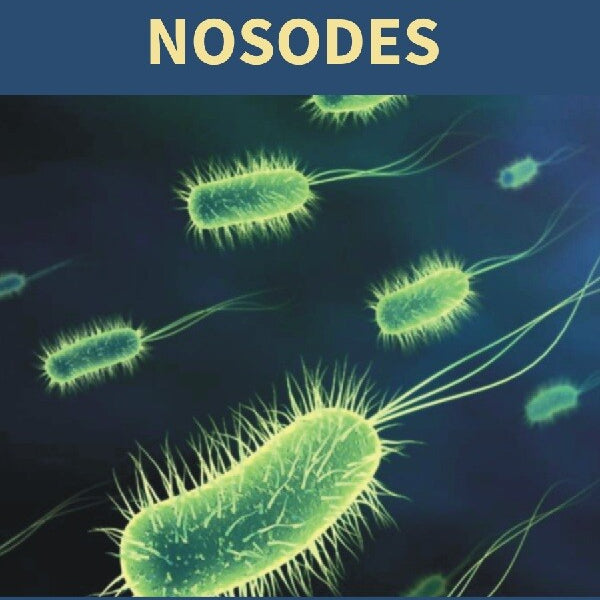 The Bowel Nosodes - Gyan Books - Distacart