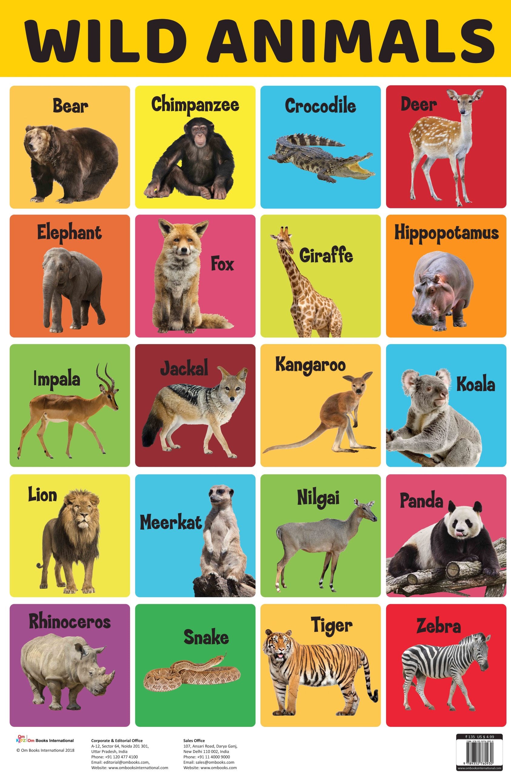 Wild Animals : Charts - Om Books - Distacart
