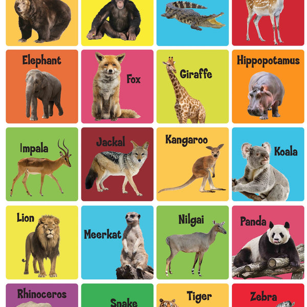 Wild Animals : Charts - Om Books - Distacart