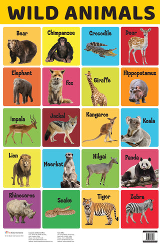 Wild Animals : Charts - Om Books