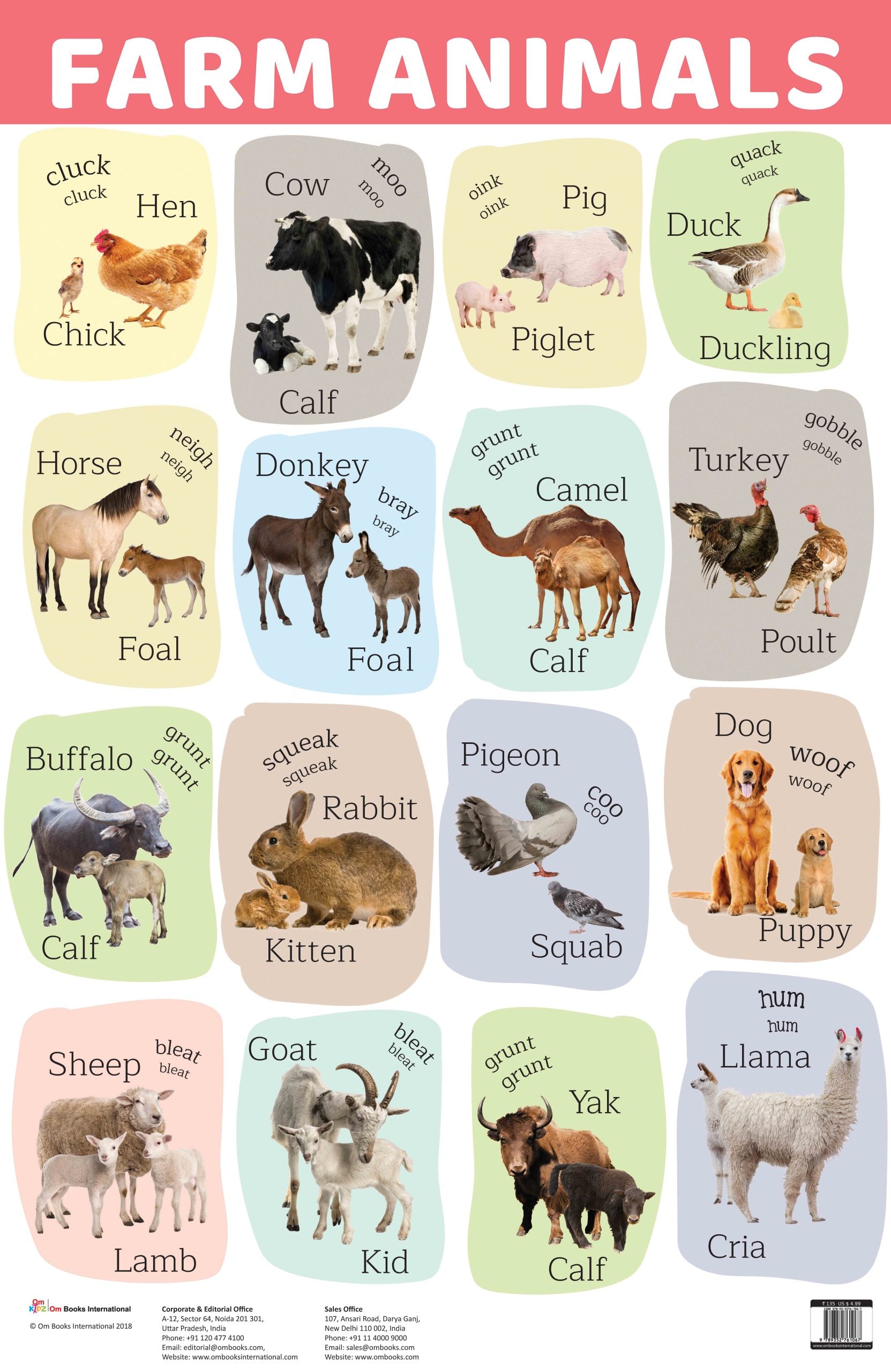 Farm Animals : Charts - Om Books - Distacart