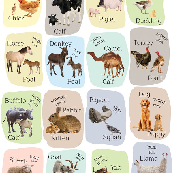 Farm Animals : Charts - Om Books - Distacart