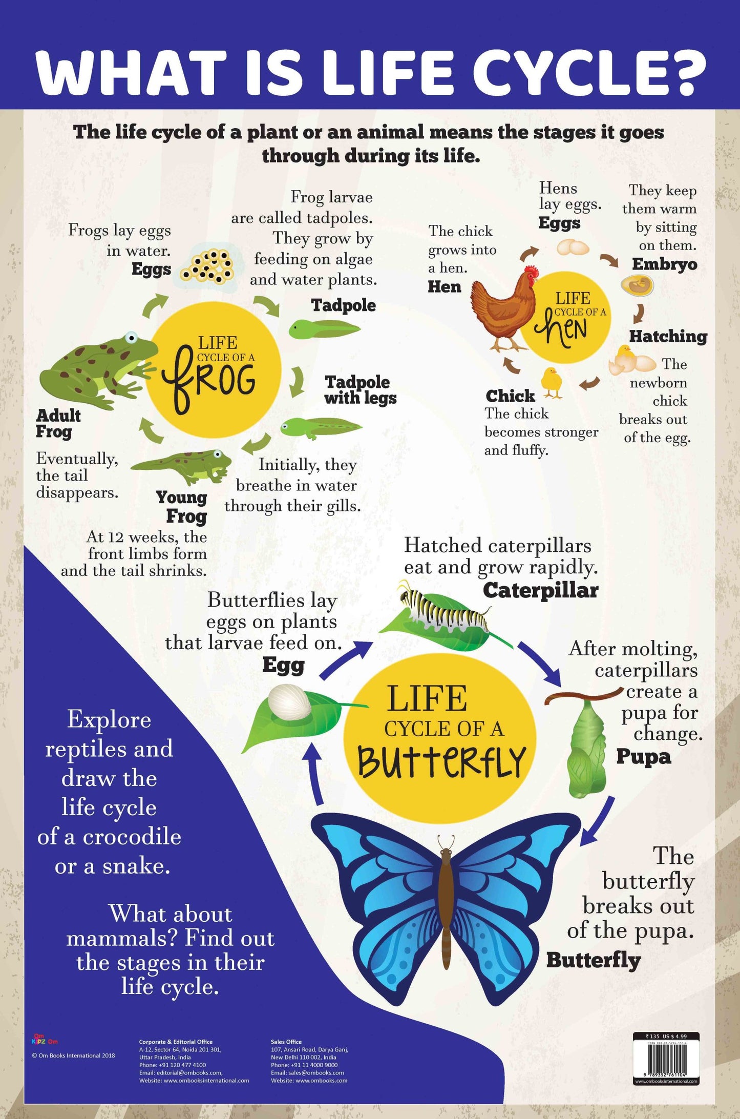 What is Life Cycle : Charts - Om Books - Distacart