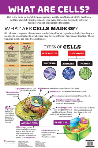 What are Cells : Charts - Om Books - Distacart