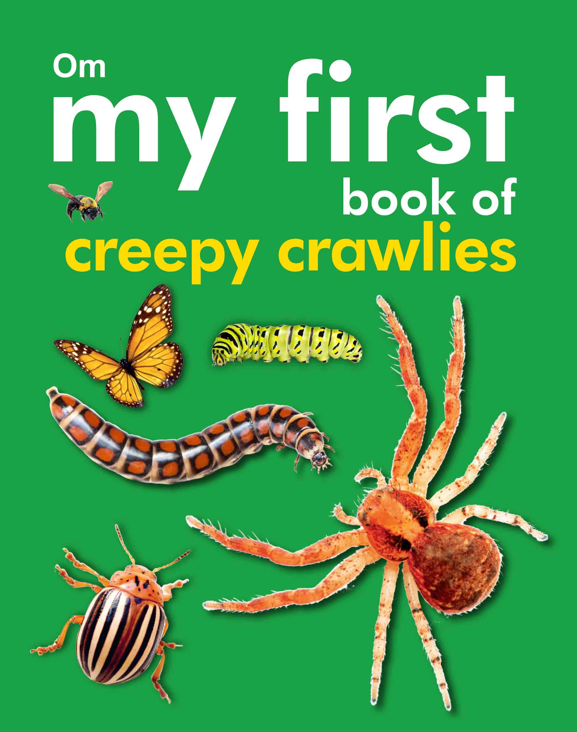 My First Book of Creepy Crawlies - Om Books - Distacart