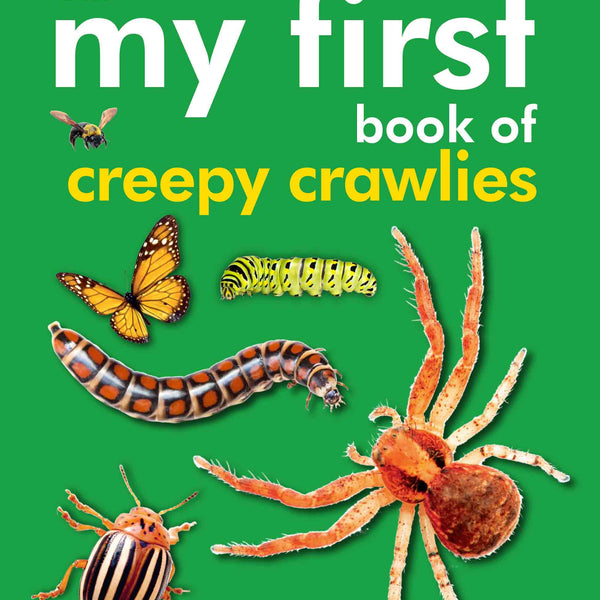 My First Book of Creepy Crawlies - Om Books - Distacart