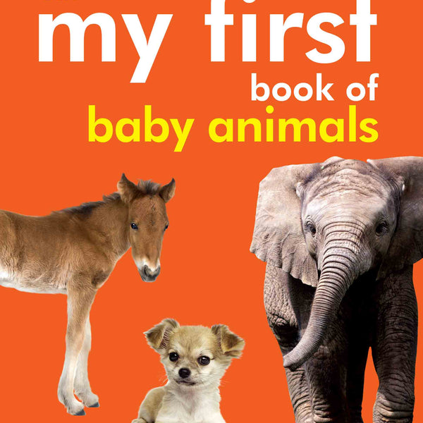 My First Book of Baby Animals - Om Books - Distacart