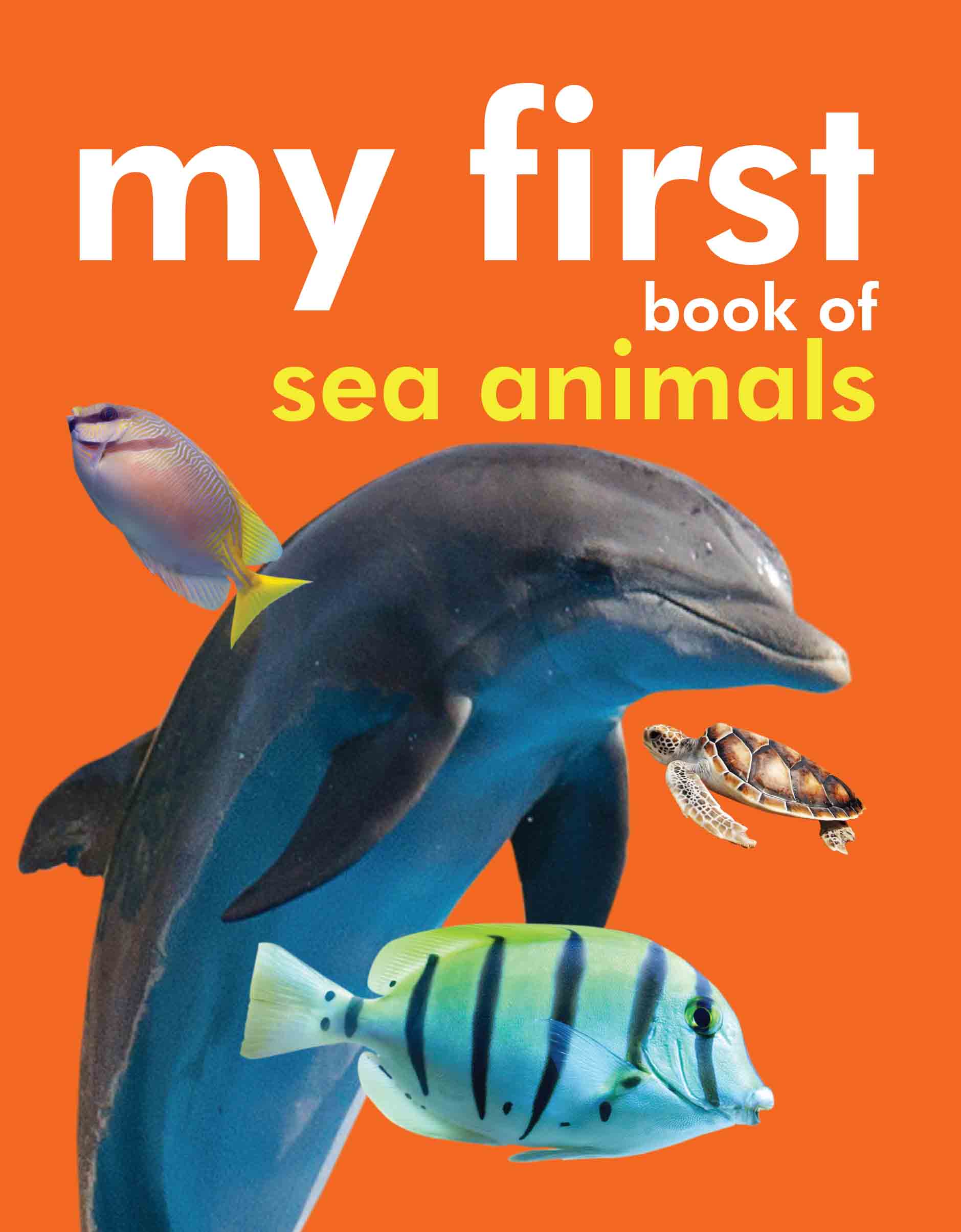 My First Book of Sea Animals - Om Books - Distacart
