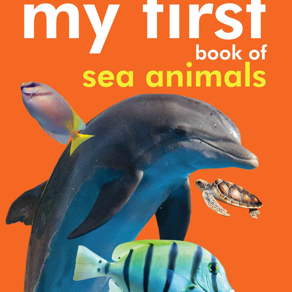 My First Book of Sea Animals - Om Books - Distacart