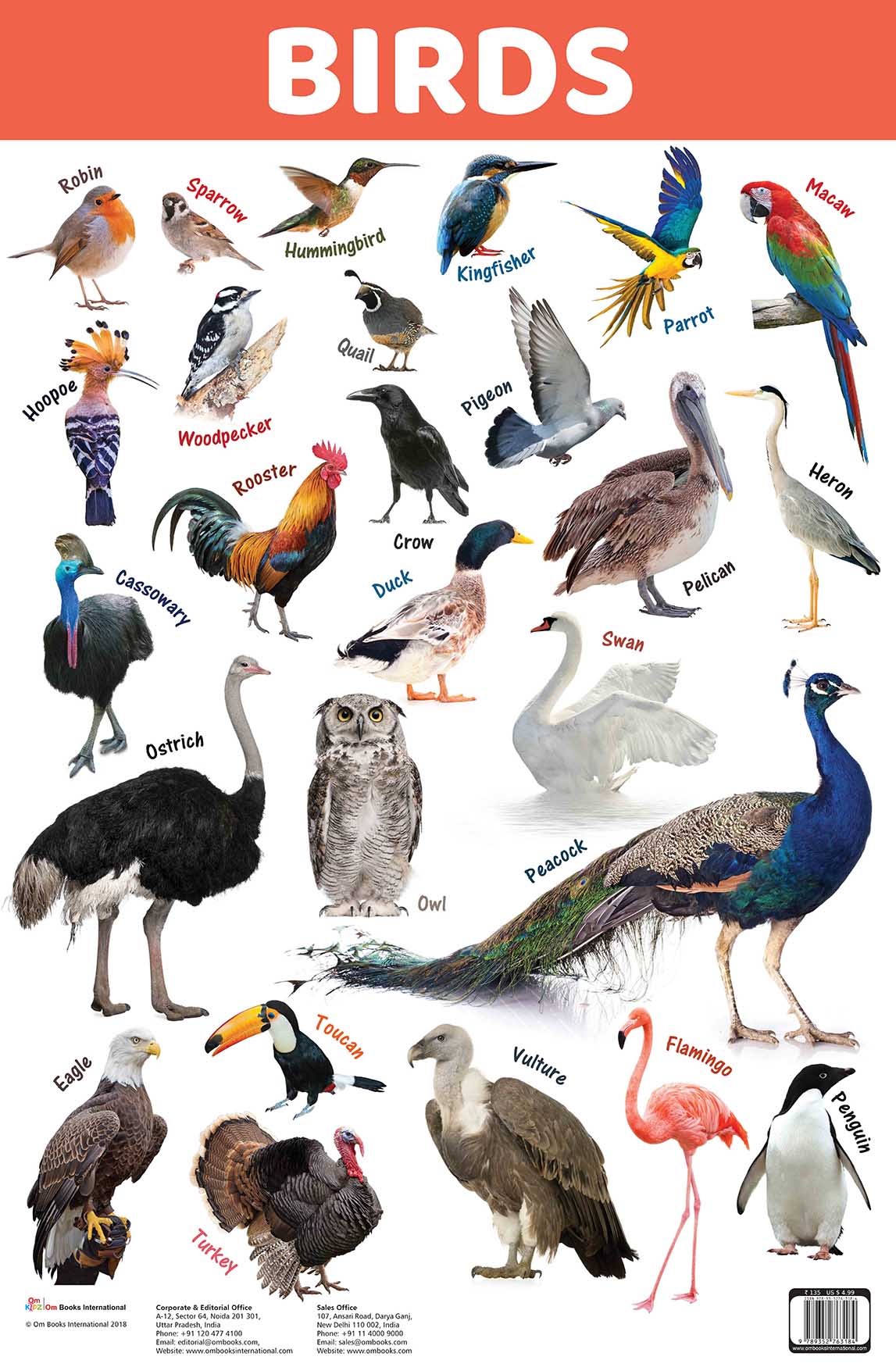 Birds : Charts - Om Books - Distacart