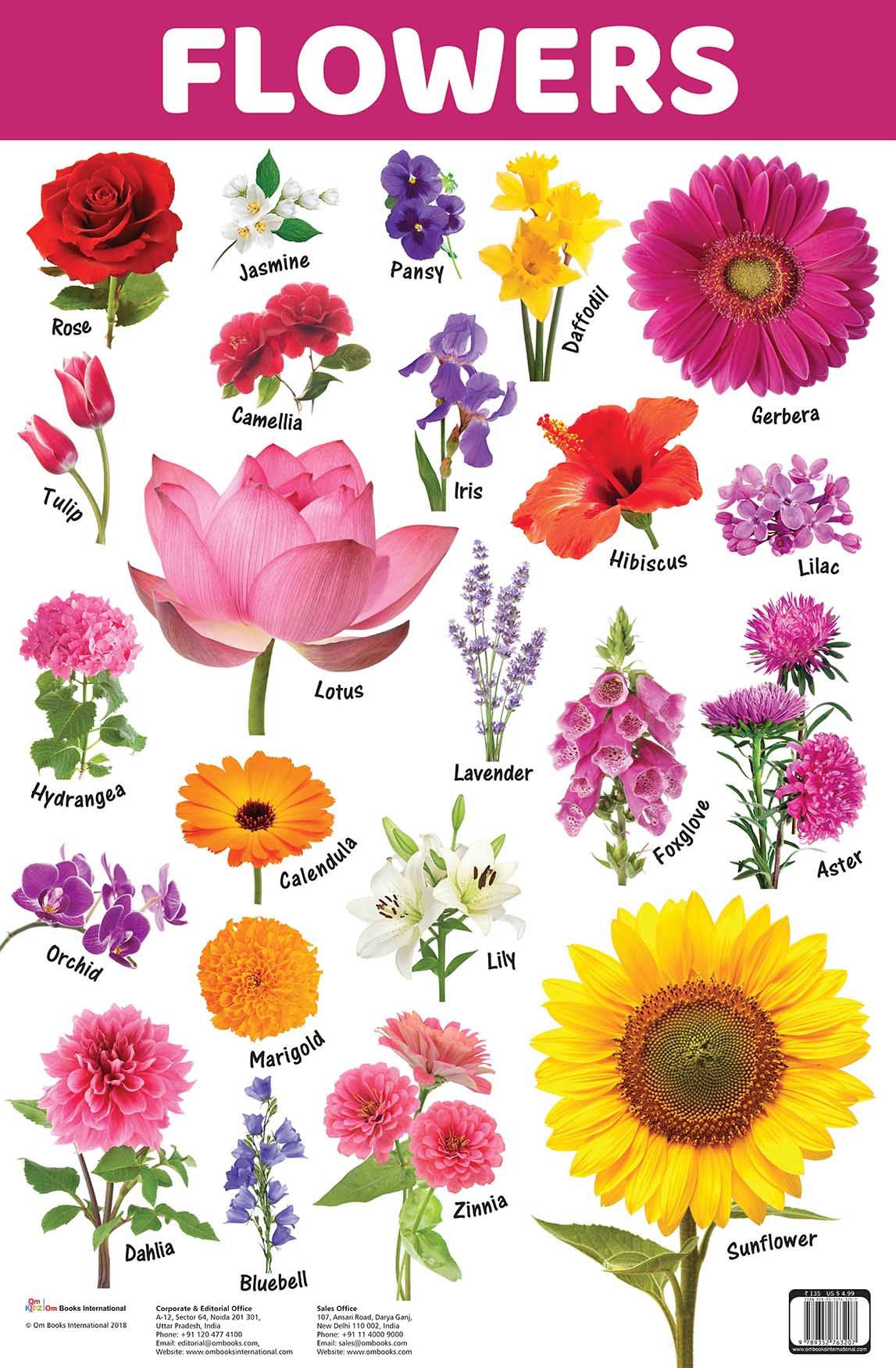 Flowers : Charts - Om Books - Distacart