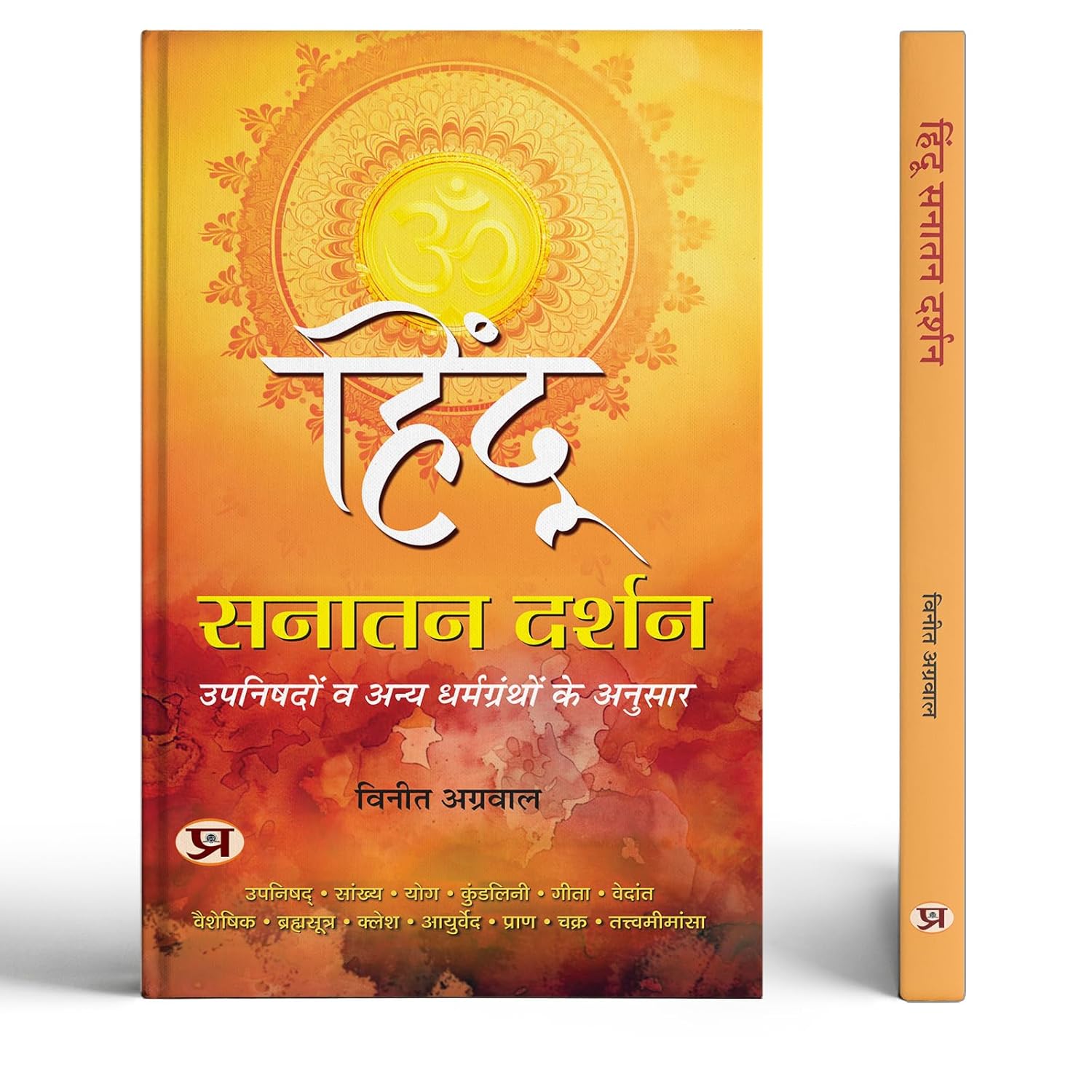 Hindu Sanatan Darshan | According To The Upanishads And Other Religious Texts | Understanding Hindu Philosophy, Vedanta And Eternal Truths | Book In Hindi-Vineet Agrawal - Dista