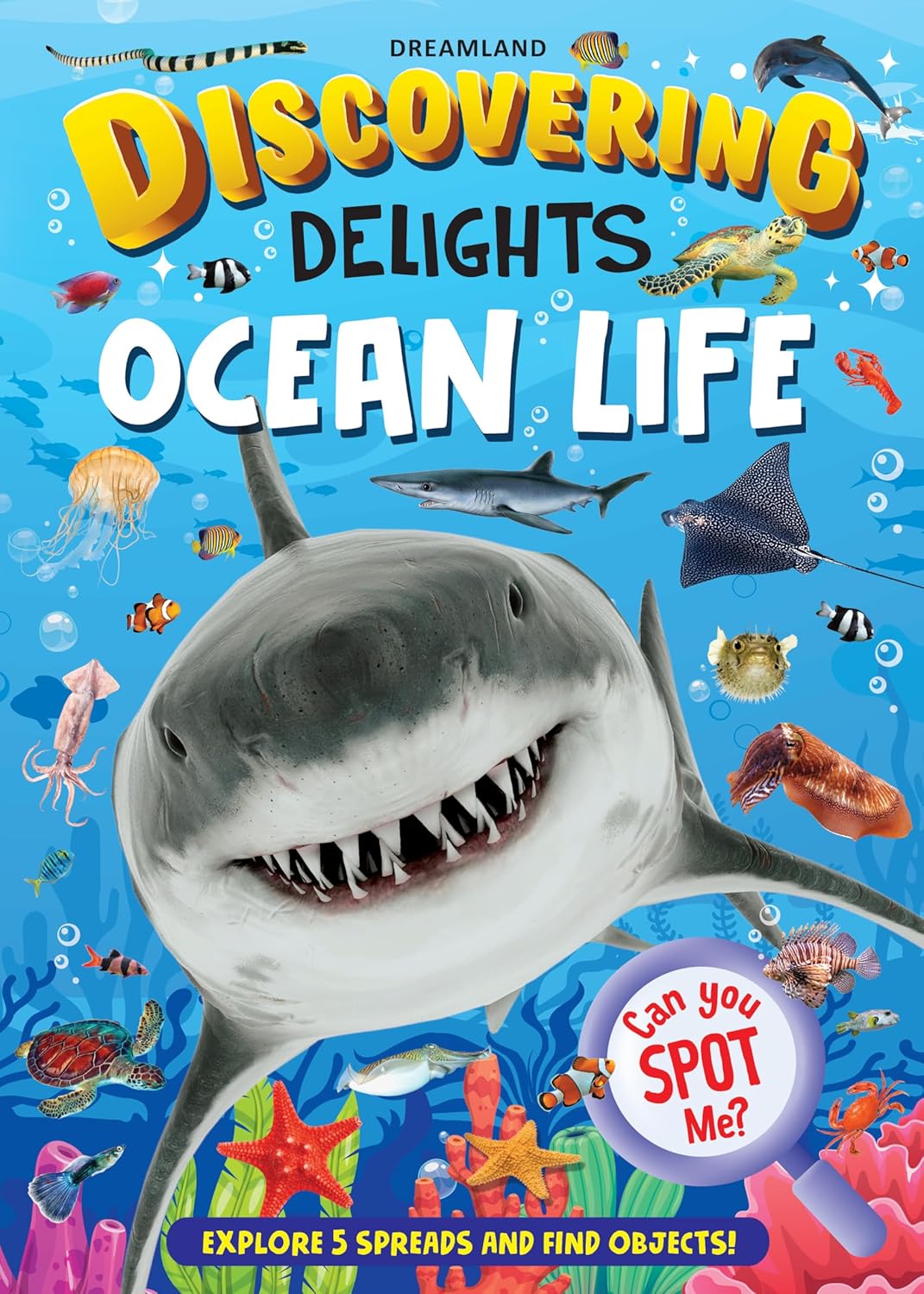Dreamland Publications Ocean Life Discovering Delights Flap Book for Kids Age 4 - 10 years