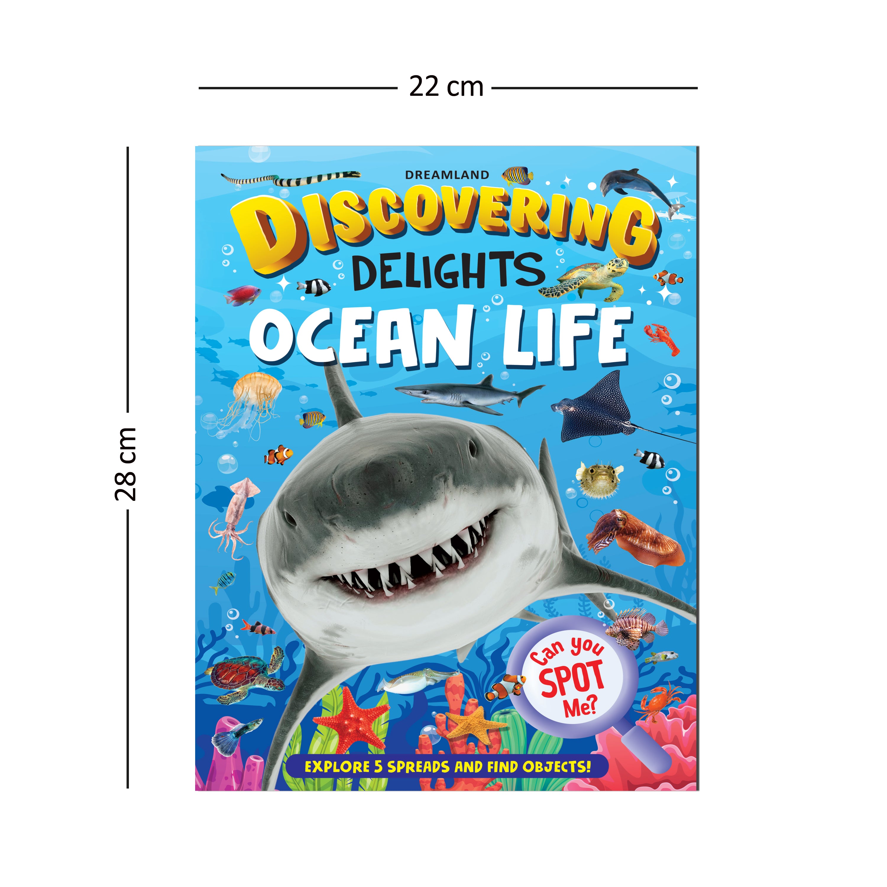 Dreamland Publications Ocean Life Discovering Delights Flap Book for Kids Age 4 - 10 years