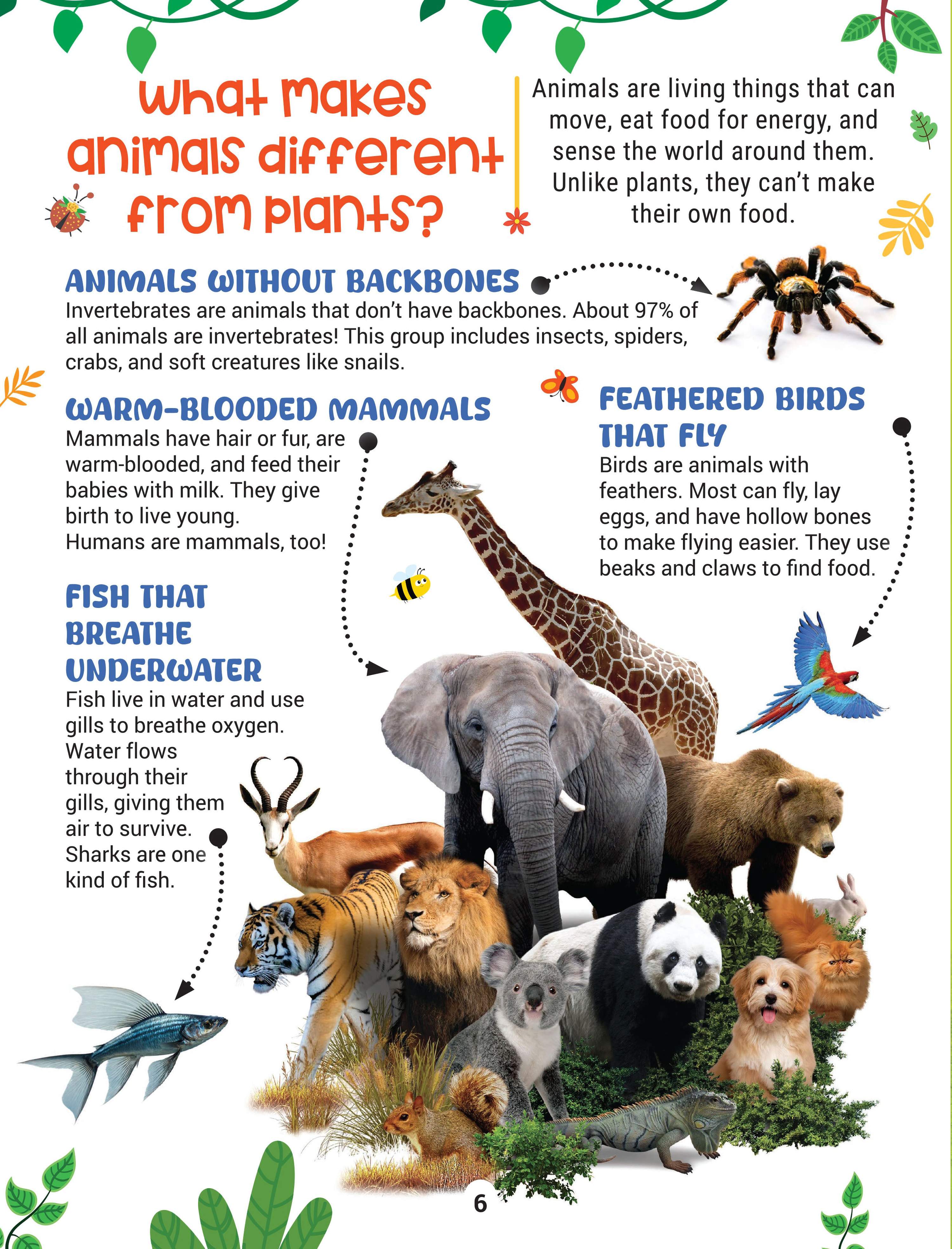 Dreamland Publications Factopedia Science Scoop: Incredible Science Facts for Kids Age 6+